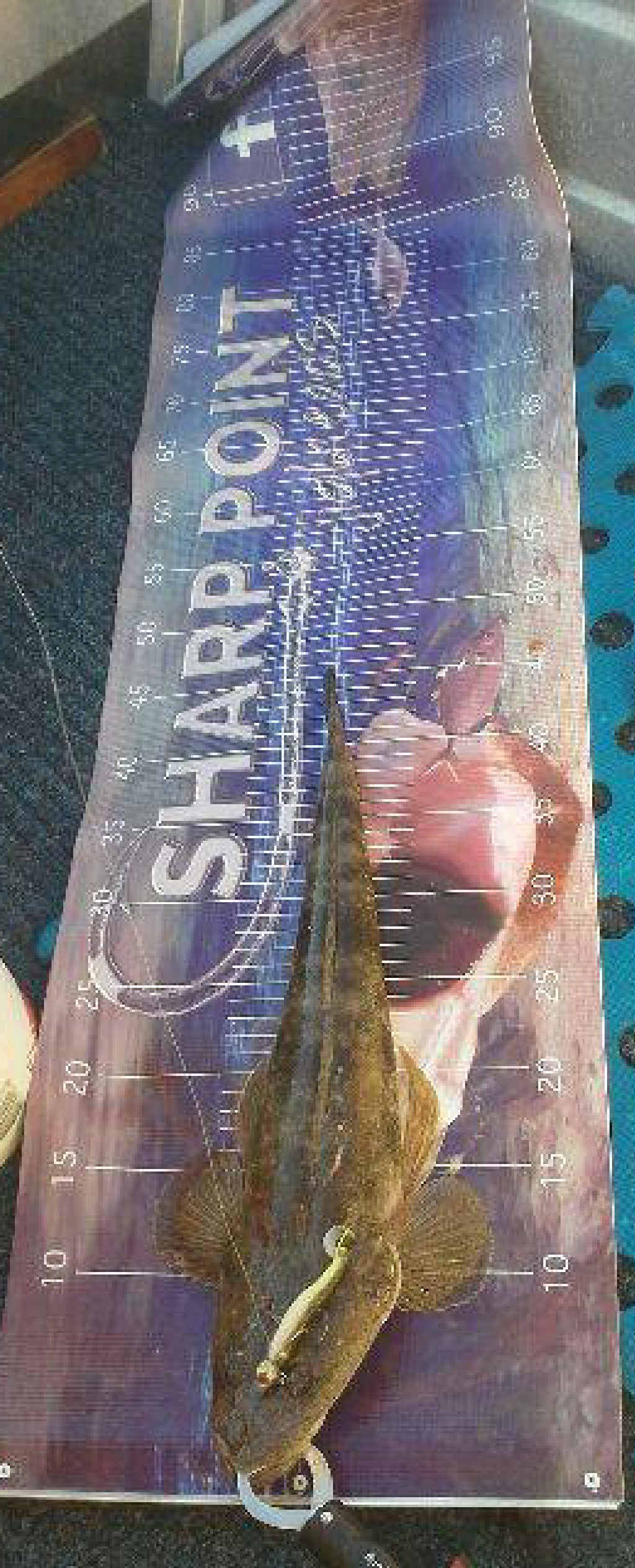Tony Shaw from Wraptor Art caught this little flattie. Tony Shaw from Wraptor Art caught this little flattie.